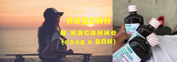 хмурый Алексин