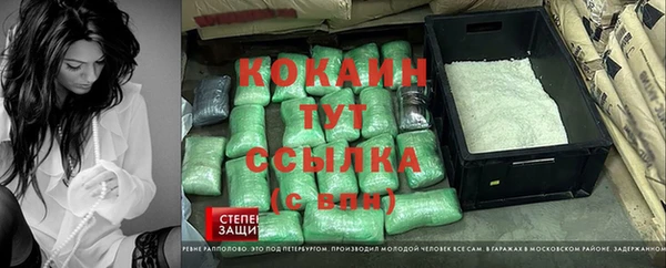 хмурый Алексин