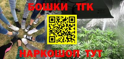 тгк Жуковский
