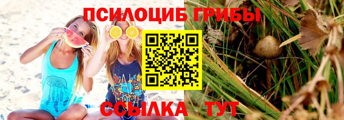Псилоцибиновые грибы мухоморы Чебаркуль